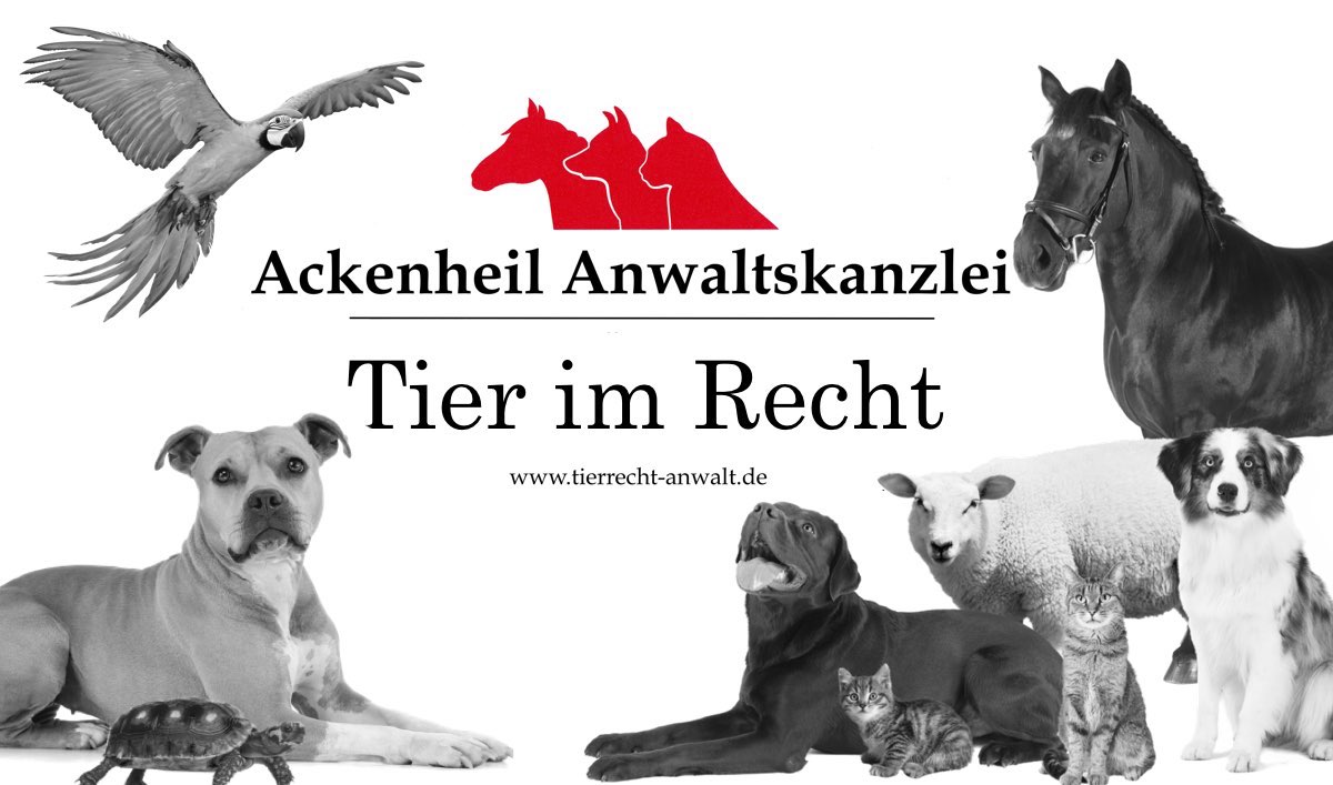 Tier im Recht Deutschland Was versteht man unter Tier im Recht?